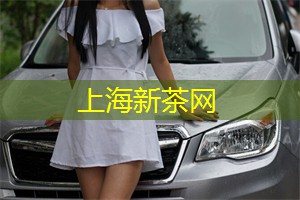 上海娱乐网：上海的马术活动及参与建议