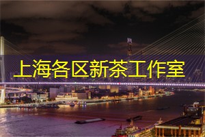 上海新茶资源：上海的跨界盛宴与精彩活动